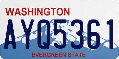 WA license plate AYQ5361