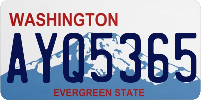 WA license plate AYQ5365