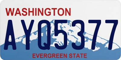 WA license plate AYQ5377