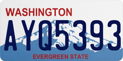 WA license plate AYQ5393