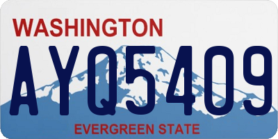 WA license plate AYQ5409