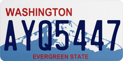 WA license plate AYQ5447