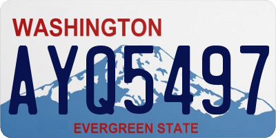 WA license plate AYQ5497
