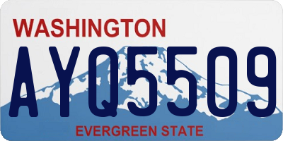 WA license plate AYQ5509