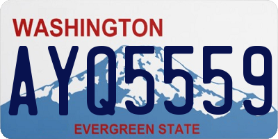 WA license plate AYQ5559