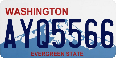 WA license plate AYQ5566