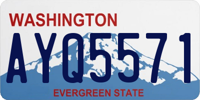 WA license plate AYQ5571