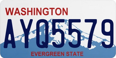WA license plate AYQ5579
