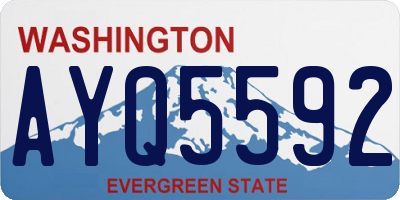 WA license plate AYQ5592