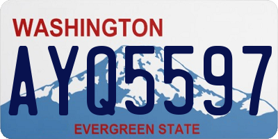 WA license plate AYQ5597