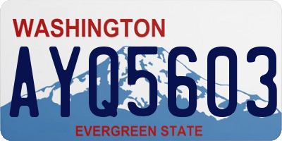 WA license plate AYQ5603