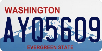 WA license plate AYQ5609