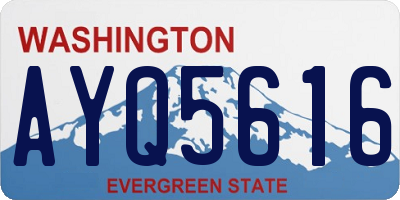 WA license plate AYQ5616