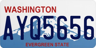 WA license plate AYQ5656