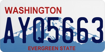 WA license plate AYQ5663