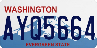 WA license plate AYQ5664