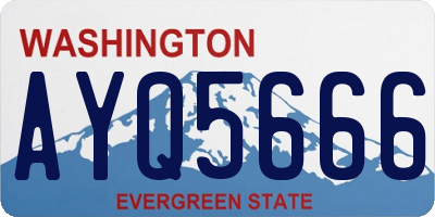 WA license plate AYQ5666