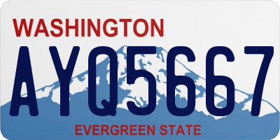 WA license plate AYQ5667