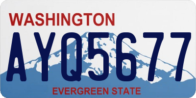 WA license plate AYQ5677