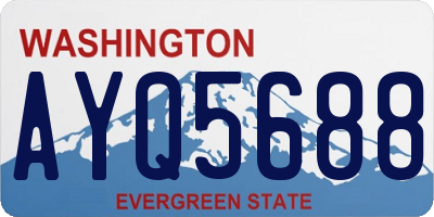 WA license plate AYQ5688
