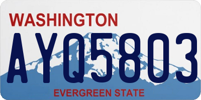 WA license plate AYQ5803