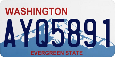 WA license plate AYQ5891