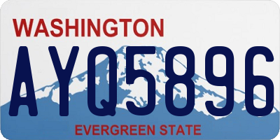 WA license plate AYQ5896
