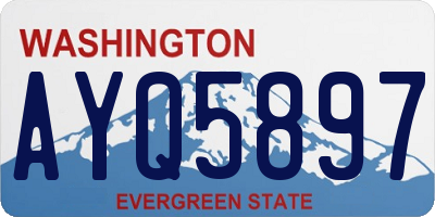 WA license plate AYQ5897