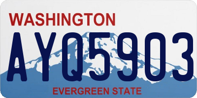 WA license plate AYQ5903