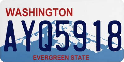 WA license plate AYQ5918