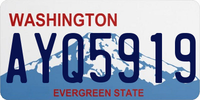 WA license plate AYQ5919
