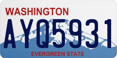 WA license plate AYQ5931