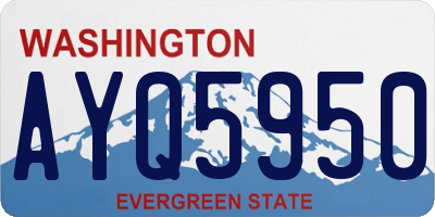 WA license plate AYQ5950