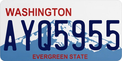 WA license plate AYQ5955