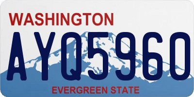 WA license plate AYQ5960