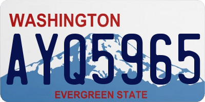 WA license plate AYQ5965