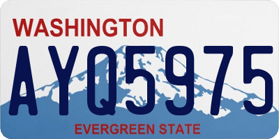 WA license plate AYQ5975