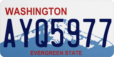 WA license plate AYQ5977