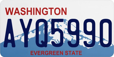 WA license plate AYQ5990