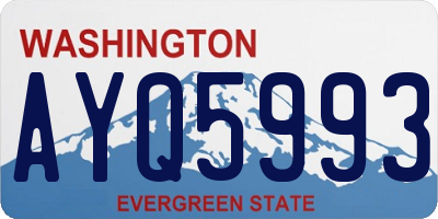 WA license plate AYQ5993