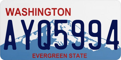 WA license plate AYQ5994