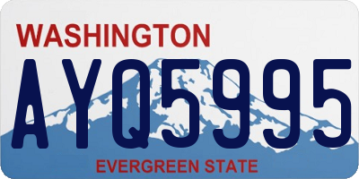 WA license plate AYQ5995