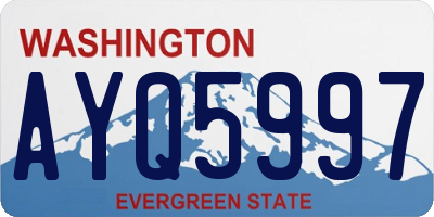 WA license plate AYQ5997