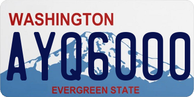 WA license plate AYQ6000