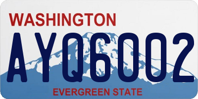 WA license plate AYQ6002