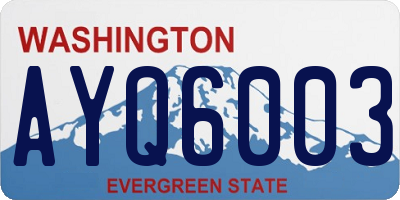 WA license plate AYQ6003