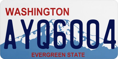 WA license plate AYQ6004