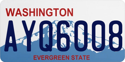 WA license plate AYQ6008