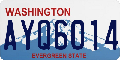 WA license plate AYQ6014