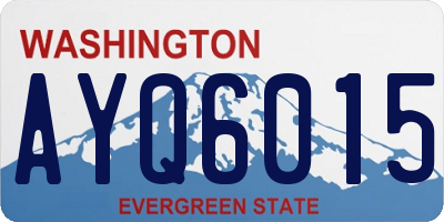 WA license plate AYQ6015